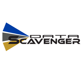 Data Scavenger Inc